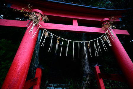 red torii in japan shrineの写真素材