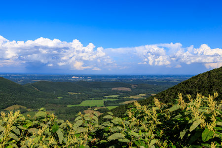 Panoramic view of the valley from the top of the mountainの写真素材