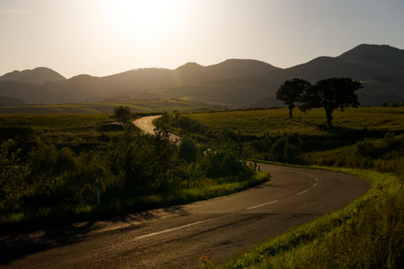 Road lit by the setting sun
