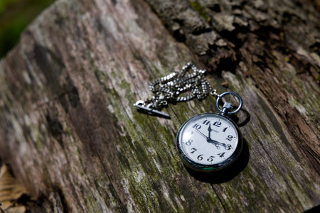 Tree bark and pocket watchの写真素材