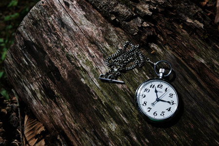 Tree bark and pocket watch