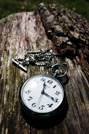 Tree bark and pocket watch