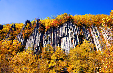 Autumn leaves  in tenninkyo hokkaidoの写真素材