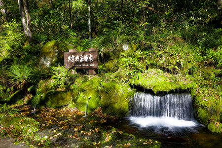 spring water in autumn hokkaidoの写真素材
