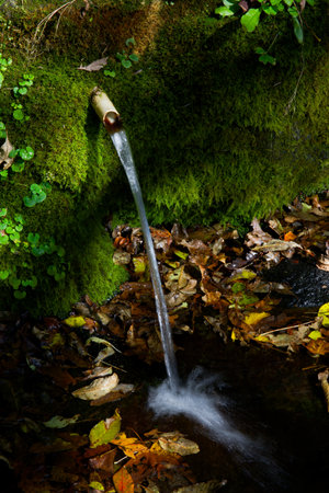 spring water in autumn hokkaido