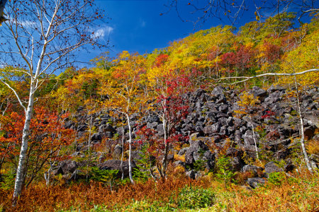 Collapsed rocks and autumn leavesの写真素材