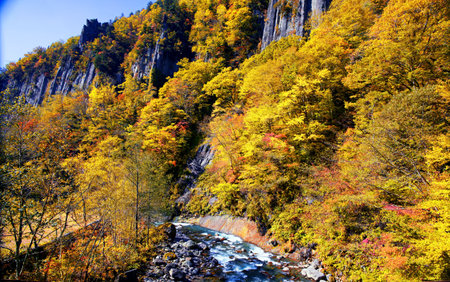 Autumn leaves  in tenninkyo hokkaidoの写真素材