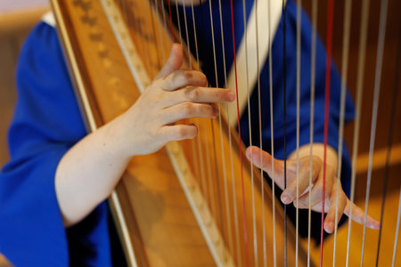 Hands of a person playing the harpの写真素材