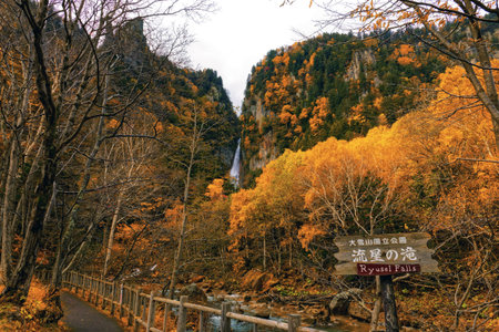 ryusei fall and ginga fall in autumn hokkaidoの写真素材
