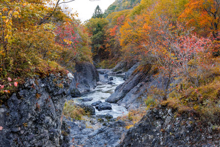 Autumn landscape with mountain river and colorful trees in Nikko, Japan