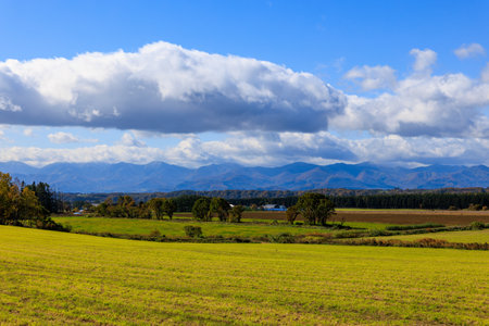 blue sky and green fieldの写真素材