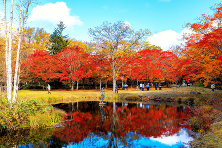 Autumn leaves in japanese garden with reflection in water.の写真素材