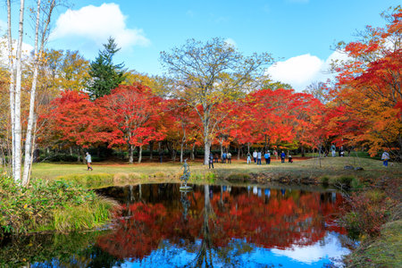 Autumn leaves in japanese garden with pond and blue skyの写真素材