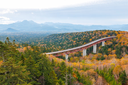 Autumn view of the bridge over the river in the mountains.の写真素材