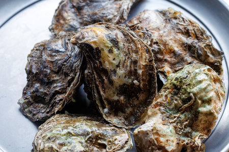 Oysters in a bowl on a wooden table, close up