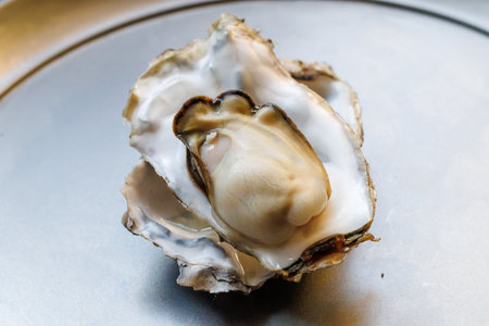 Oyster on a silver tray, close-up, selective focusの写真素材