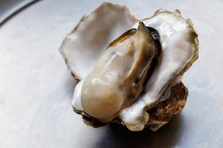 Fresh oysters on a metal plate. Seafood. Close up.