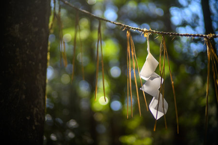 Paper origami hanging on a rope in the forest. Selective focus.の写真素材