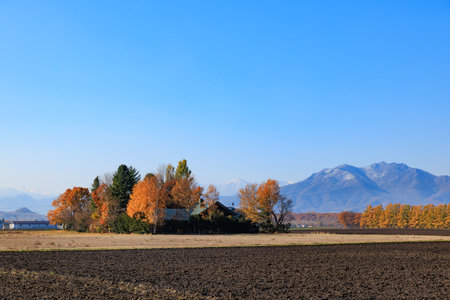 Harvested fields and the Hidaka Mountainsの写真素材