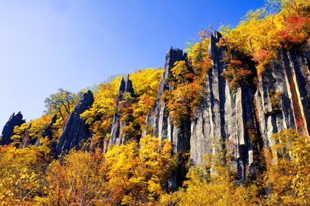 Autumn leaves  in tenninkyo hokkaidoの写真素材