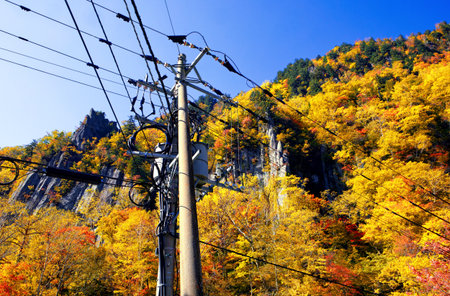 Autumn leaves  in tenninkyo hokkaidoの写真素材