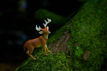 Miniature deer standing on mossy ground in forest. Selective focus.の写真素材