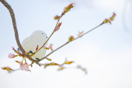A figurine of a long-tailed tit and cherry blossomsの写真素材
