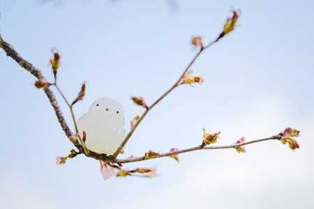 A figurine of a long-tailed tit and cherry blossomsの写真素材