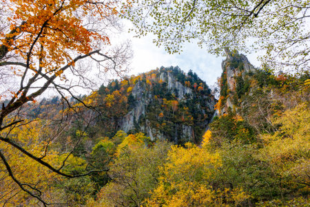 Autumn leaves in sounkyo hokkaido