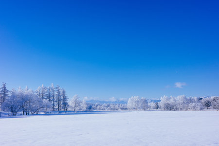 blue sky and snow fieldの写真素材