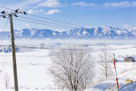 blue sky and snow fieldの写真素材
