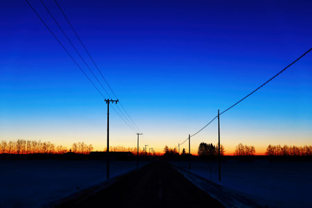 Scenery with the pre-dawn sky and electric poles