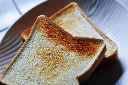 grilled toast on white dish