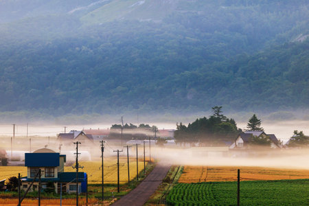 A rural village shrouded in morning mistの写真素材