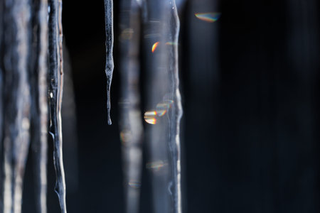 beautiful icicle in winter hokkaido