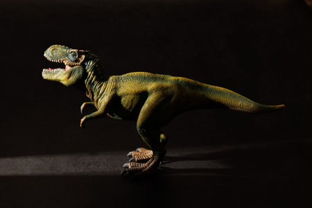 Tyrannosaurus rex dinosaur model on black background with shadow