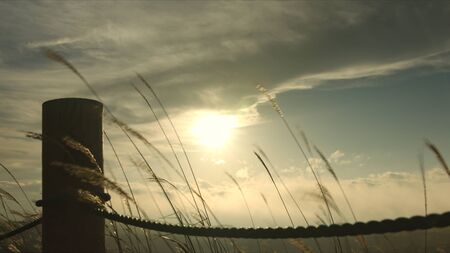 Sunset of Takabocchikogenの写真素材