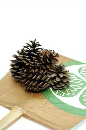  a pine coneの写真素材