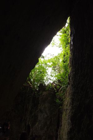 The green which peeps out from the holeの写真素材