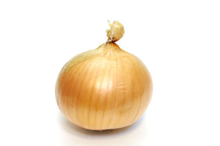 Onionの写真素材