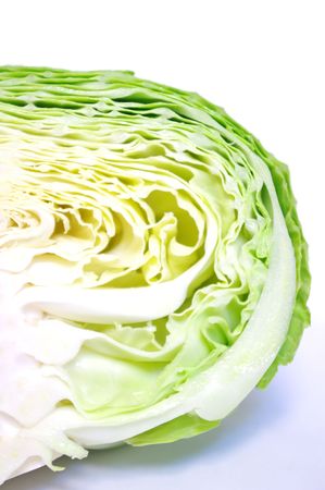 cabbageの写真素材