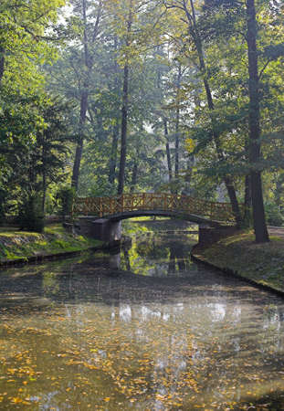 Fall in Parkの写真素材