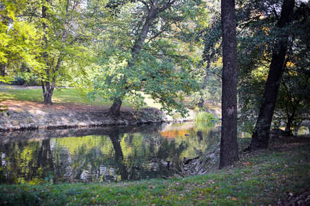 Fall in Parkの写真素材