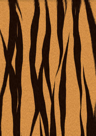 Backgroundの写真素材