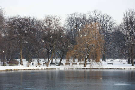 Winter in parkの写真素材