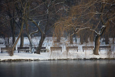 Winter in parkの写真素材