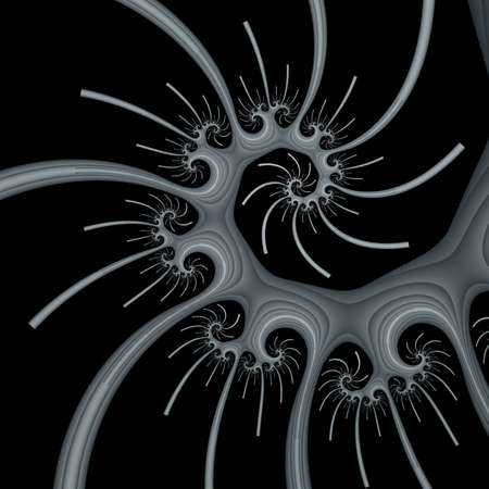Fractalの写真素材