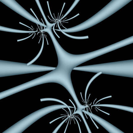 Fractalの写真素材