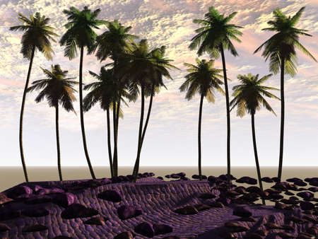 Backgroundの写真素材