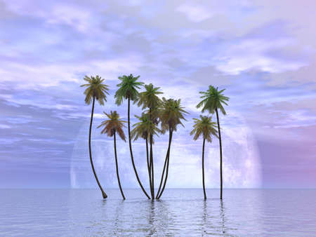 Backgroundの写真素材